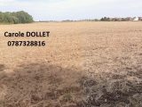  1790078-6130annonce1202402149SKF9.jpeg Maisons Open