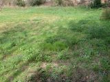  1813372-9843annonce120240314uItqH.jpeg Maisons Open