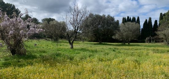 Terrain à bâtir à Sanary-sur-Mer, Provence-Alpes-Côte d'Azur
