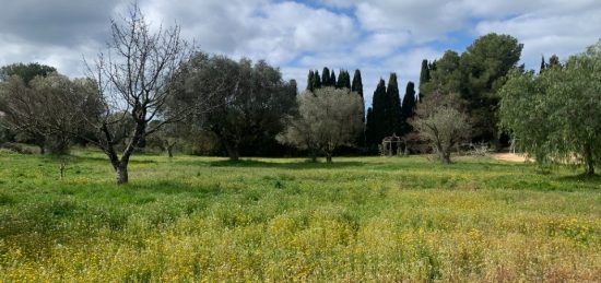 Terrain à bâtir à , Var