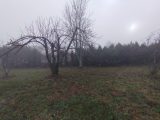  1745210-5100annonce120231214aMHcv.jpeg Maisons Open