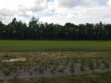  1747082-10076annonce120231213NSkJZ.jpeg Maisons Open