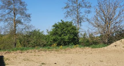 Aureville Terrain à bâtir - 1741995-5993annonce220231206mpWAb.jpeg Maisons Open