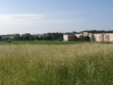  1742024-5993annonce120231206FCSuB.jpeg Maisons Open