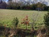  1770516-10568annonce120240119Phm53.jpeg Maisons Open