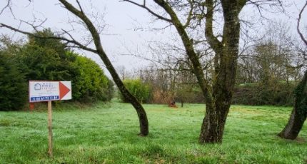 Saint-Félix-Lauragais Terrain à bâtir - 1787494-5993annonce120240209IGW2P.jpeg Maisons Open