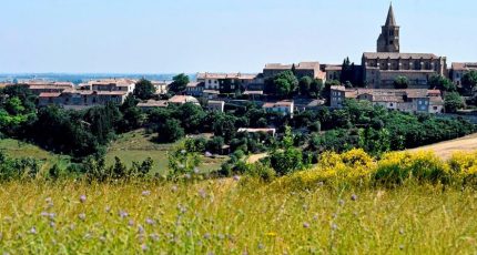 Saint-Félix-Lauragais Terrain à bâtir - 1787494-5993annonce320240209Ivvx0.jpeg Maisons Open