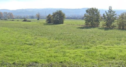 Revel Terrain à bâtir - 1792144-5993annonce220240216G43VG.jpeg Maisons Open