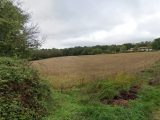  1807494-5771annonce120240308UT9W6.jpeg Maisons Open