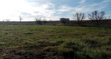 Maureville Terrain à bâtir - 1814264-5993annonce120240315mv2wT.jpeg Maisons Open