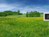  1740629-10570annonce120231207vu983.jpeg Maisons Open