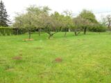  1745016-10570annonce120231211eNxBr.jpeg Maisons Open