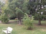  1735269-10686annonce120231124eq1Jk.jpeg Maisons Open