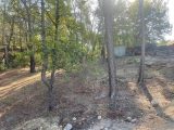  1765549-7069annonce320240115ZJCJ2.jpeg Maisons Open