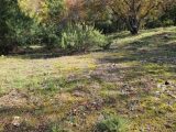  1773950-10271annonce3202401259GZuT.jpeg Maisons Open
