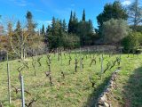  1824703-692annonce420240328JiSoI.jpeg Maisons Open