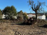  1823834-7060annonce1202311237PHGS.jpeg Maisons Open