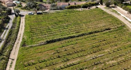 Cotignac Terrain à bâtir - 1826371-10746annonce120240329Wv3BR.jpeg Maisons Open