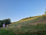  1823801-10885annonce1202403275EoiF.jpeg Maisons Open