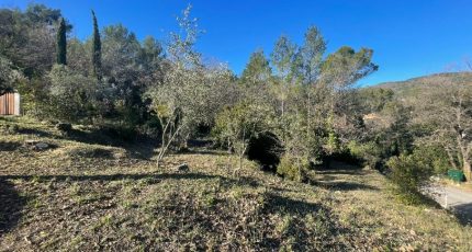 Figanières Terrain à bâtir - 1823703-4529annonce220240327JXrck.jpeg Maisons Open