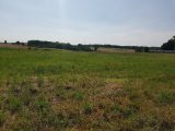 1821585-9835annonce120240325Il2kV.jpeg Maisons Open