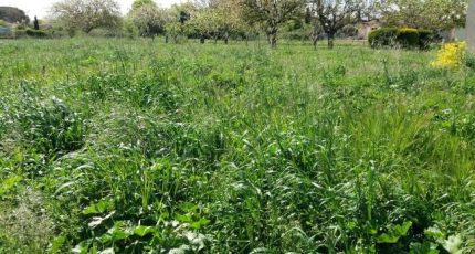 Pibrac Terrain à bâtir - 1818552-9555annonce120240320eqQ85.jpeg Maisons Open