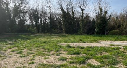 Bollène Terrain à bâtir - 1823694-6150annonce420240327LO2Mu.jpeg Maisons Open