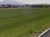  1824707-10819annonce1202403286ZU4b.jpeg Maisons Open