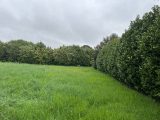  1824214-6150annonce120240328rXWsQ.jpeg Maisons Open