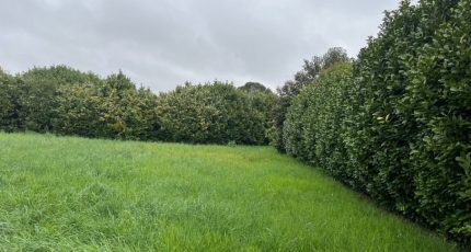 Loriol-sur-Drôme Terrain à bâtir - 1825257-6150annonce320240328McSWP.jpeg Maisons Open