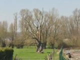  1823830-1807annonce120240327u8hVX.jpeg Maisons Open