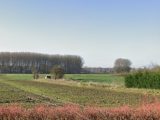  1823858-1807annonce2202403279iz35.jpeg Maisons Open