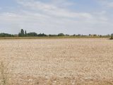  1825382-1807annonce12024032826o09.jpeg Maisons Open