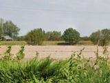  1825382-1807annonce220240328vPXXX.jpeg Maisons Open