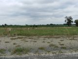  1824527-961annonce12024032878pW5.jpeg Maisons Open