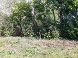  1822278-5604annonce120240325IPzoq.jpeg Maisons Open
