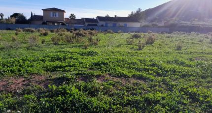 Cuers Terrain à bâtir - 1822497-5922annonce120240326WmRrw.jpeg Maisons Open