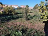  1822497-5922annonce220240326pH1L8.jpeg Maisons Open