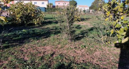 Cuers Terrain à bâtir - 1822497-5922annonce220240326pH1L8.jpeg Maisons Open
