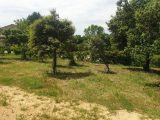  1752248-5100annonce120240403CIRqp.jpeg Maisons Open