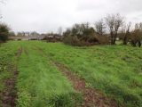 1825807-10282annonce320240329e78BZ.jpeg Maisons Open