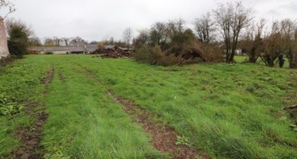 Tour-en-Bessin Terrain à bâtir - 1825807-10282annonce320240329e78BZ.jpeg Maisons Open