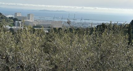 Marseille 1 Terrain à bâtir - 1831460-7054annonce220240408qJlCI.jpeg Maisons Open