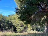  1831460-7054annonce420240408b1H2s.jpeg Maisons Open
