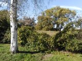  1823624-10863annonce120240327HTVQO.jpeg Maisons Open