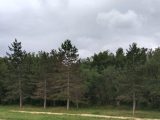  1831150-9917annonce120240408ERq1e.jpeg Maisons Open