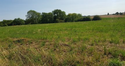 Cormeilles Terrain à bâtir - 1830298-9835annonce120240405i0PzB.jpeg Maisons Open