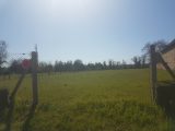  1830965-9835annonce120240408V46HZ.jpeg Maisons Open