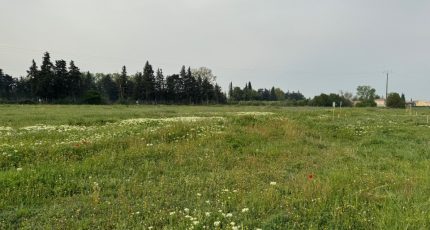 Monteux Terrain à bâtir - 1833080-3418annonce420240410KyH3K.jpeg Maisons Open