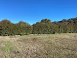  1831143-7008annonce1202404085JUre.jpeg Maisons Open